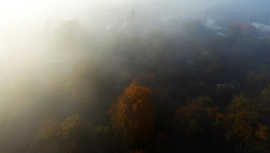 Hmlisté jesenné ráno - Misty autumn morning 2016