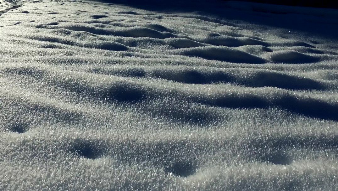 Vlny mrazu - Frozen waves 2017