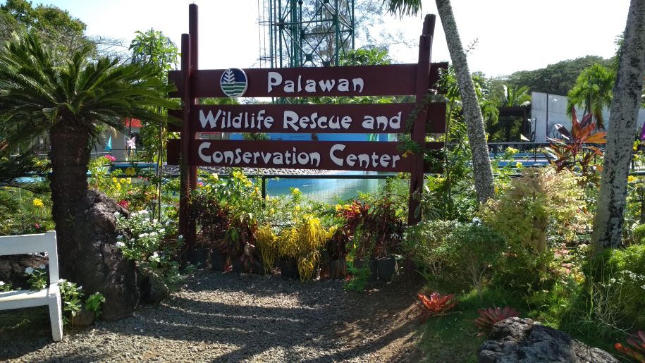 Filipíny, ostrov Palawan, Puerto Princesa    Philippines, Palawan Island, Puerto Princesa    2019