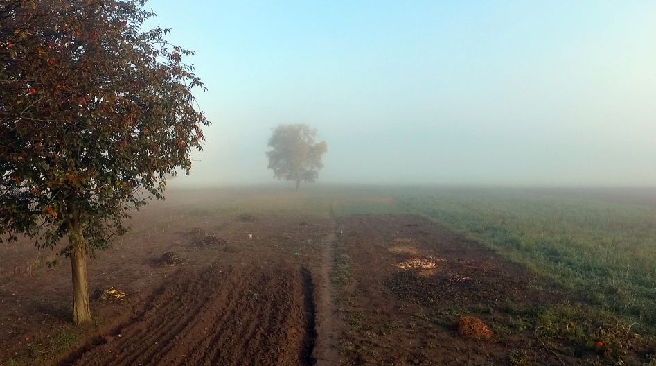 Hmlisté jesenné ráno - Misty autumn morning 2016