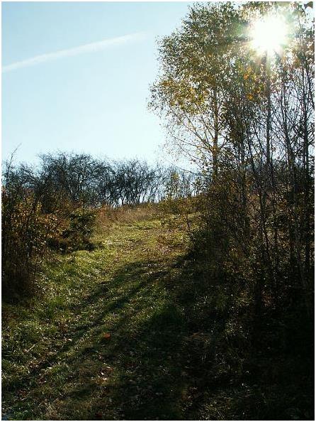 Jesenný chodník - Autumn trail 2007