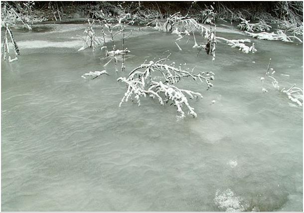 Ľadový potok - Ice stream 2007