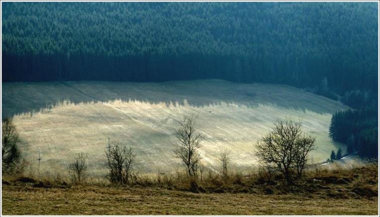 Jarná krajina - Spring landscape 2009