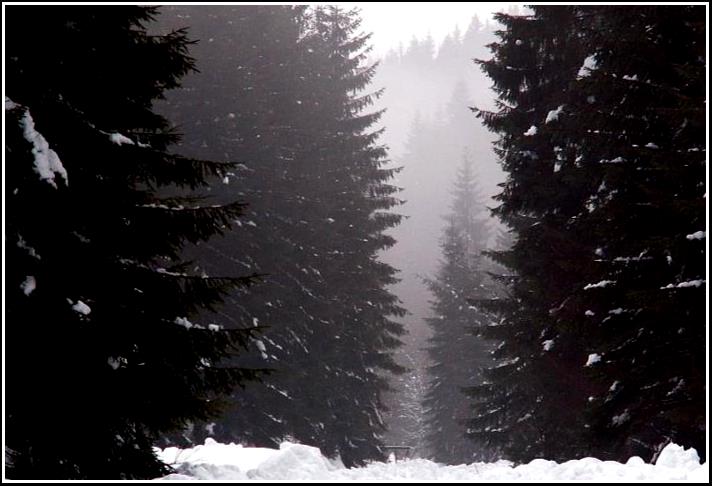 Zimný deň - A winter day 2006