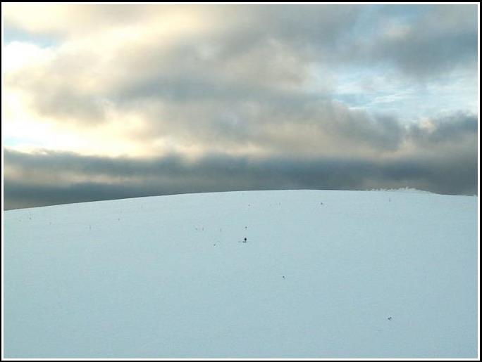Zimný obzor - Winter sky-line 2006