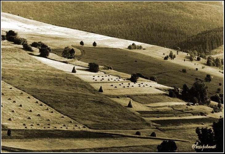 Vrchárska krajina - Mountain-agricultural landscape 1983