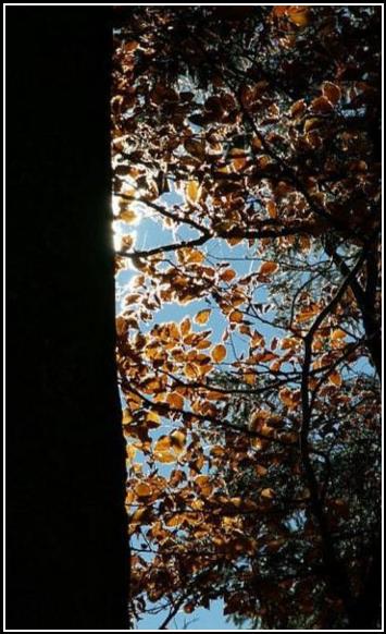 Teplo jesene - Warm autumn 2005