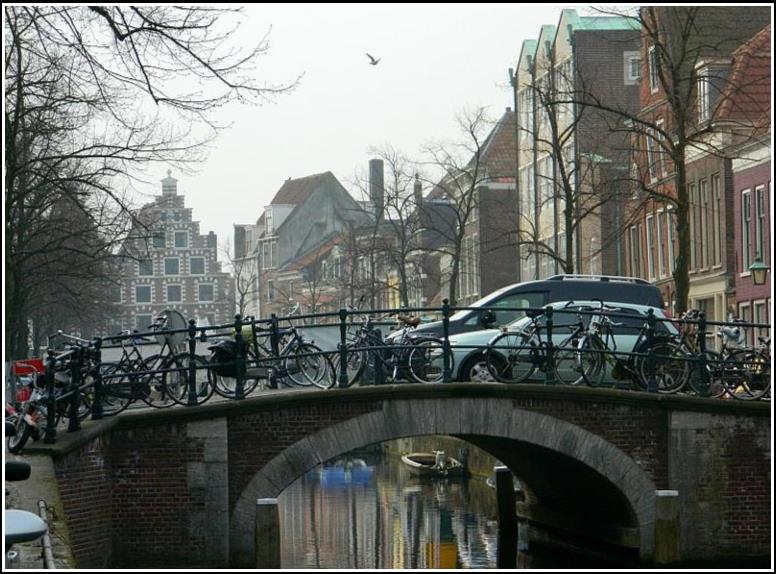 Holandsko, Haarlem - Netherlands, Haarlem 2014
