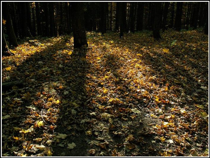 Jesenná kompozícia - Autumn composition 2012