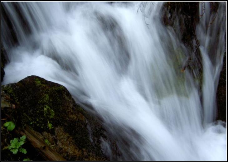 Horská bystrina - Mountain brook 2005