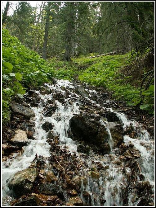 Horský potok - Mountain stream 2006