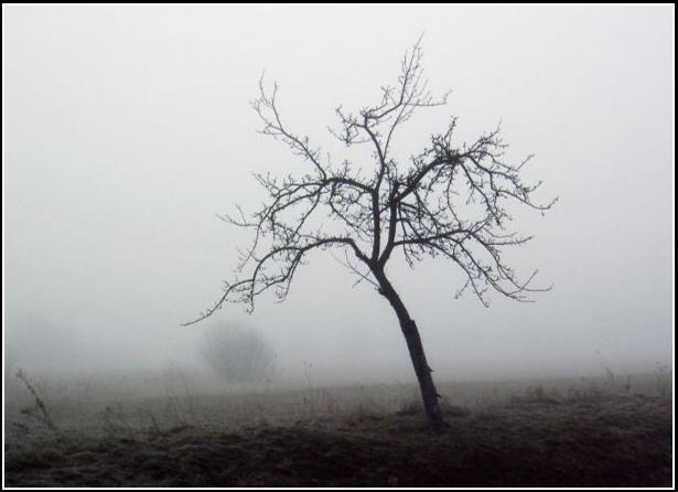 Staroba a opustenosť - Senescence and desolation 2004