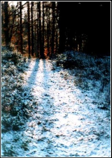 Poľovnícky chodník - Hunting trail 2000